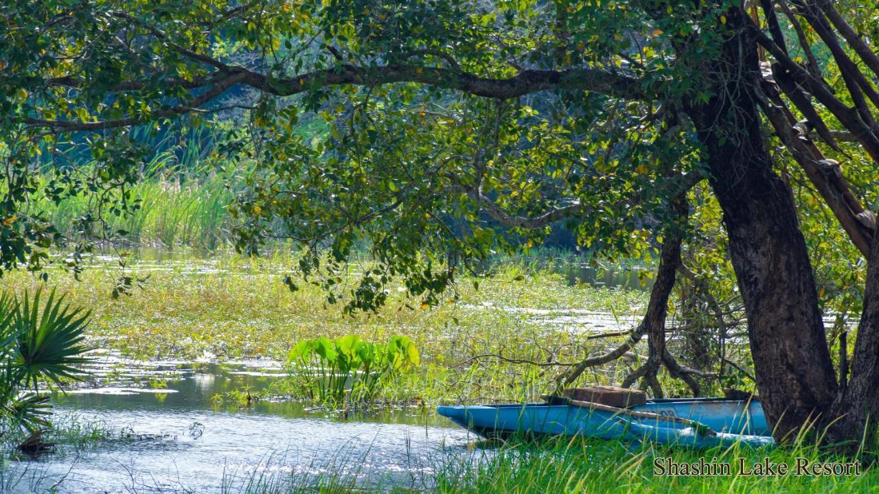 Shashin Lake Resort Дамбулла Екстер'єр фото